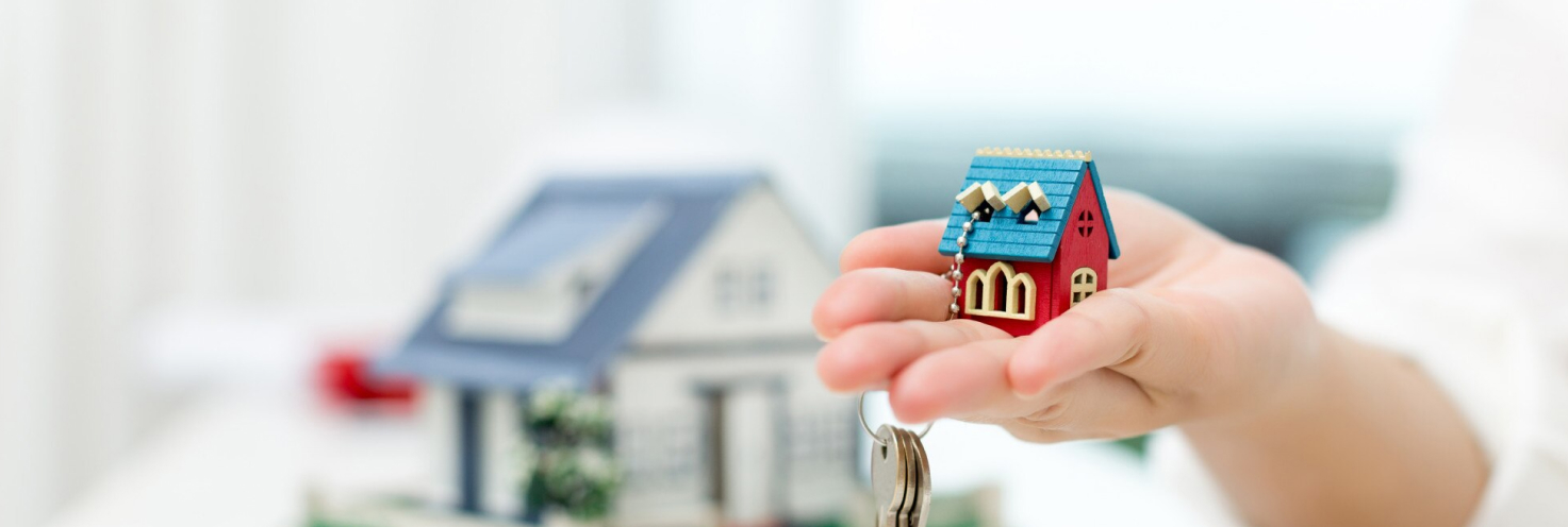 article_bg